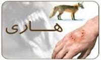 هرگونه حیوان گزیدگی مشوک به هاری است